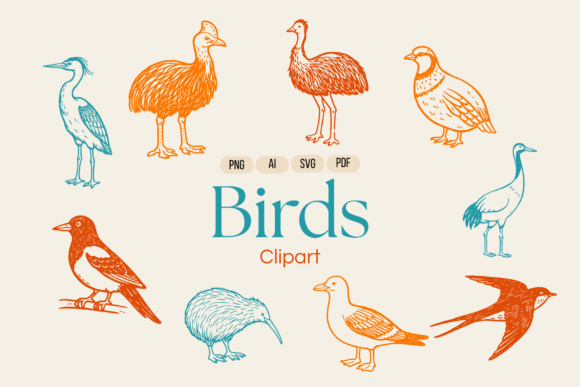 Avian Birds Vector Illustrations: Graphics for Modern Editorial Design