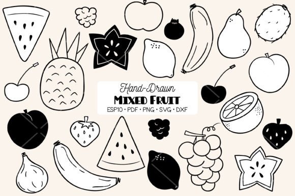 Fruit Doodles Food Illustrations: Graphics & Illustrations Review
