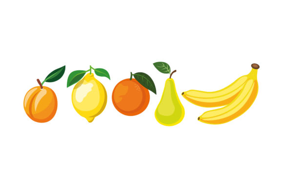 Fruit Set Detail Illustrations: Graphics for Editorial Design