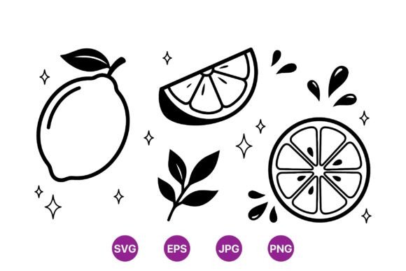 Lemon Citrus Line Art Graphics and Illustrations