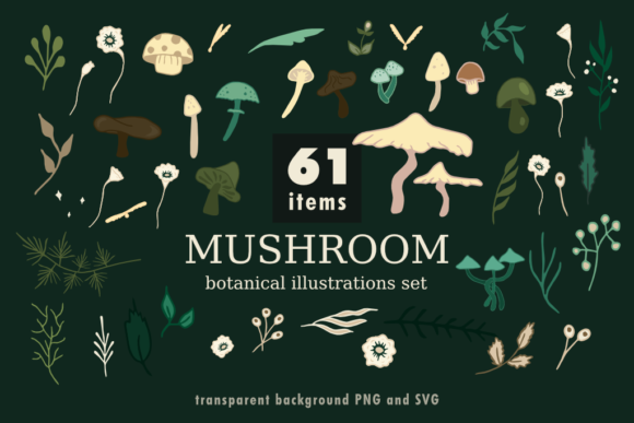 Mushroom Botanical Illustrations: Graphics & Editorial Assets